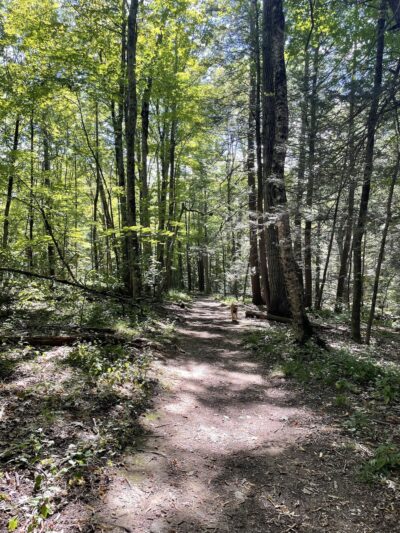 Gould Meadows - Stockbridge, MA