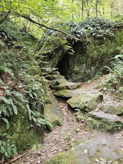 Ice Glen Trail - Stockbridge, MA