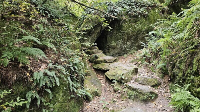 Ice Glen Trail - Stockbridge, MA