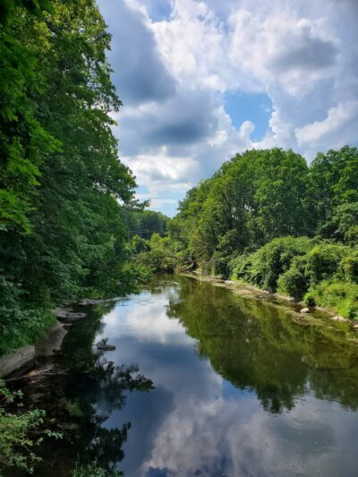 Ice Glen Trail - Stockbridge, MA