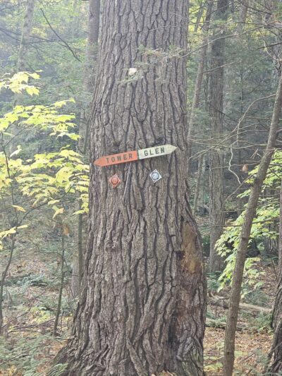 Ice Glen Trail - Stockbridge, MA