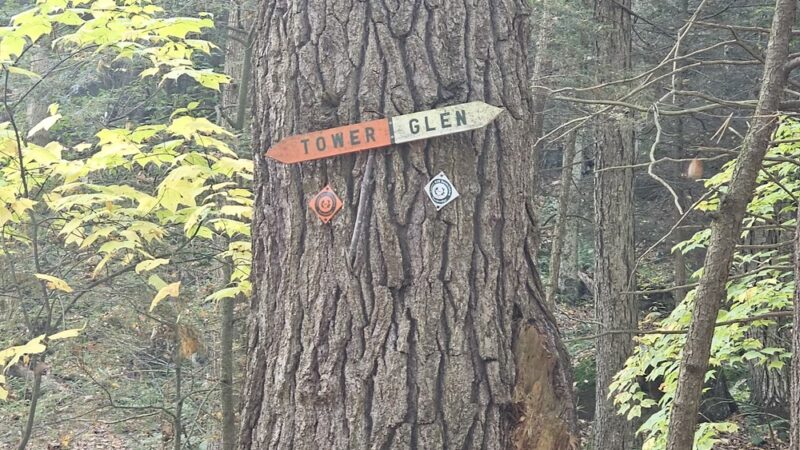 Ice Glen Trail - Stockbridge, MA