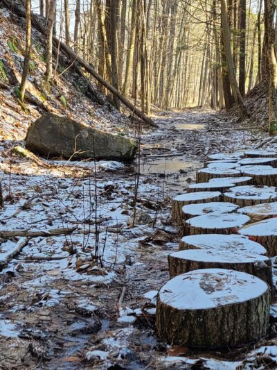 Lower Bowker's Woods - Stockbridge, MA