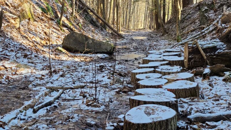 Lower Bowker's Woods - Stockbridge, MA