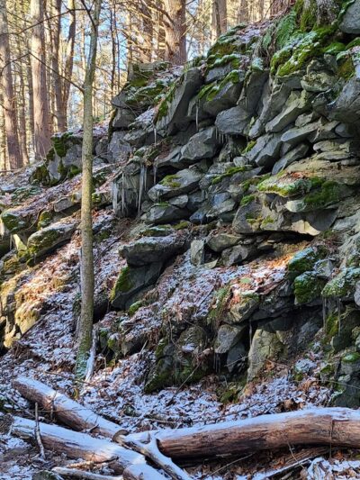 Lower Bowker's Woods - Stockbridge, MA
