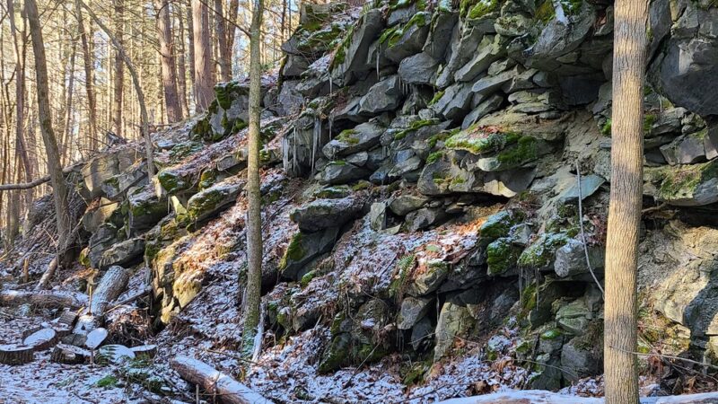 Lower Bowker's Woods - Stockbridge, MA