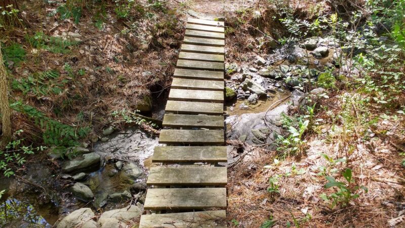 Lower Bowker's Woods - Stockbridge, MA