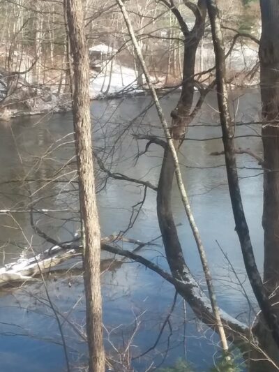 Lower Bowker's Woods - Stockbridge, MA