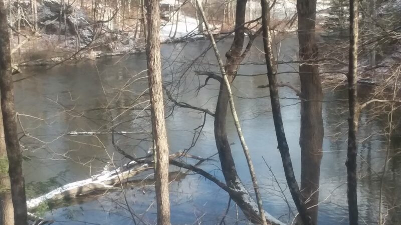 Lower Bowker's Woods - Stockbridge, MA