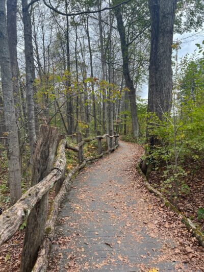 Mary V. Flynn Trail - Stockbridge, MA