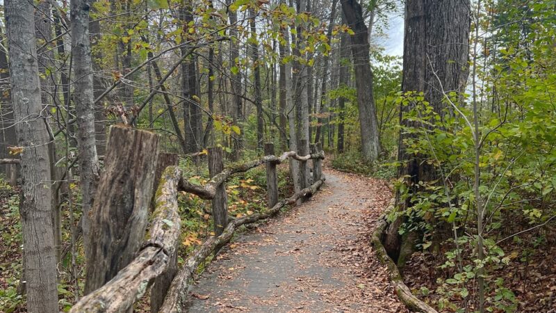 Mary V. Flynn Trail - Stockbridge, MA