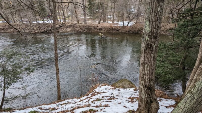 Mary V. Flynn Trail - Stockbridge, MA