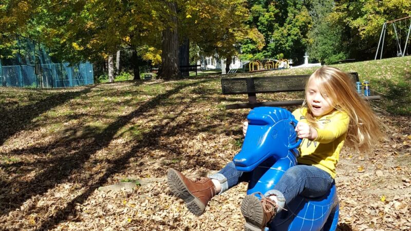 Stockbridge Playground - Stockbridge, MA