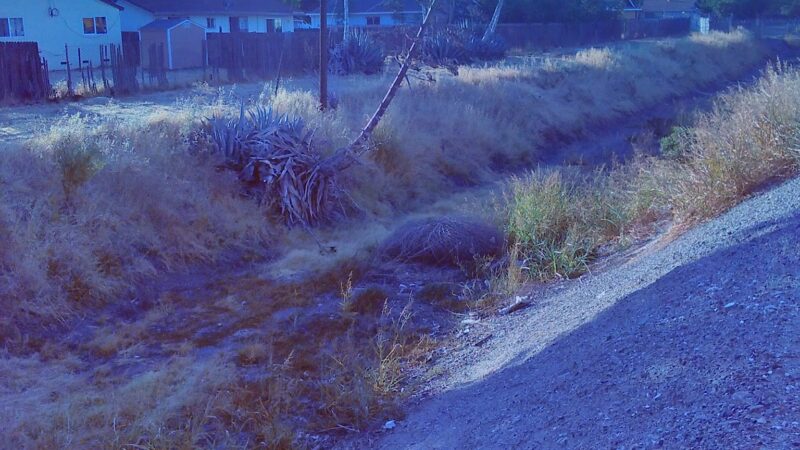 Reverend Peterson Park - Stockton, CA