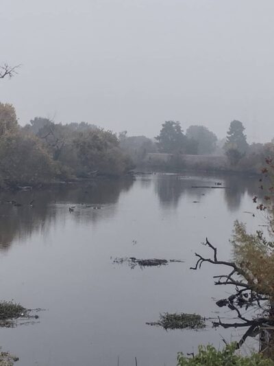Van Buskirk Park - Stockton, CA