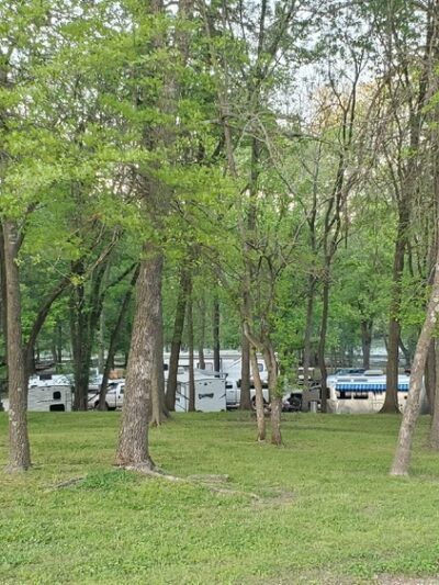 Caplinger Woods - Stockton, MO