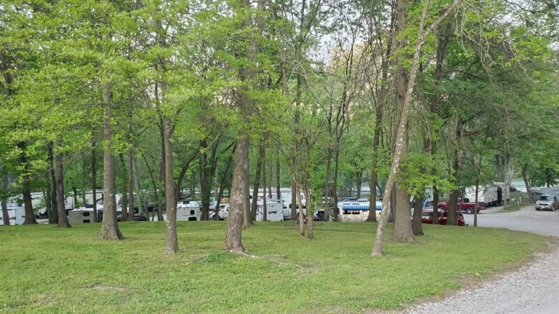 Caplinger Woods - Stockton, MO