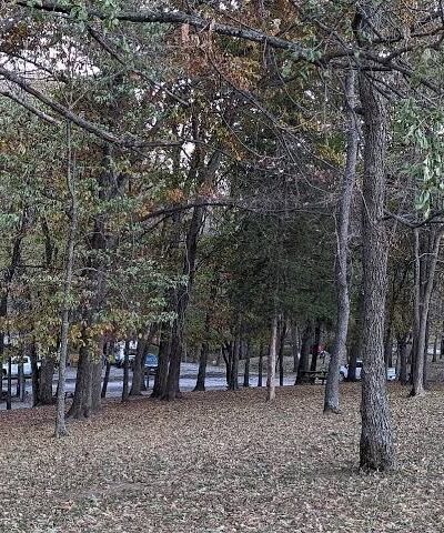 Caplinger Woods - Stockton, MO