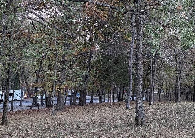 Caplinger Woods - Stockton, MO