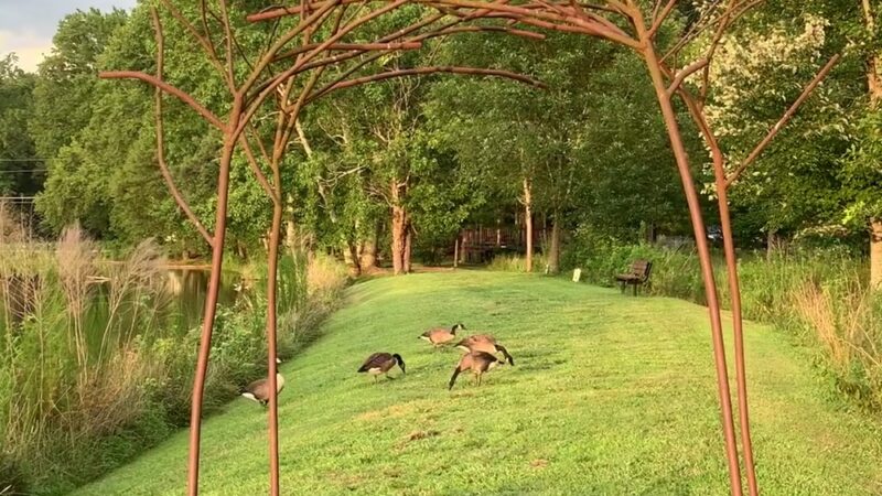 Pine Lake Beach - Stone Mountain, GA
