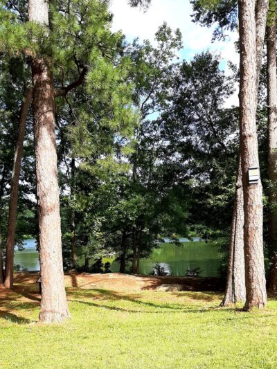 Pine Lake Beach - Stone Mountain, GA