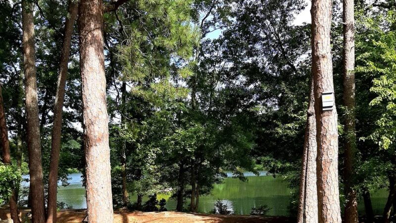 Pine Lake Beach - Stone Mountain, GA