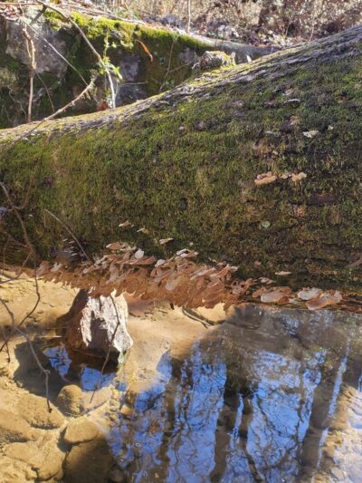 Nature Trail Parking Lot - Stone Mountain, GA