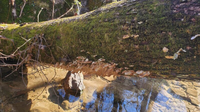 Nature Trail Parking Lot - Stone Mountain, GA