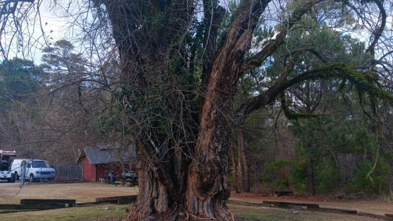 Nature Trail Parking Lot - Stone Mountain, GA