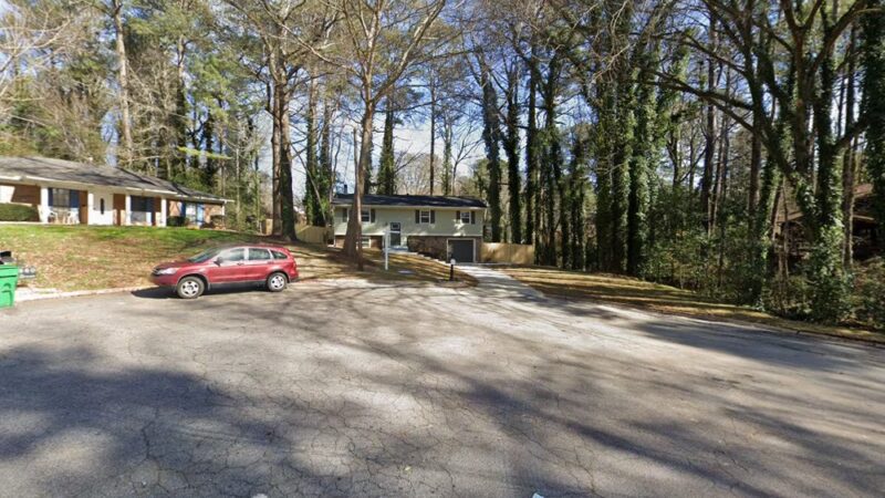 PlayItSafe! Dog Parks - Stone Mountain, GA