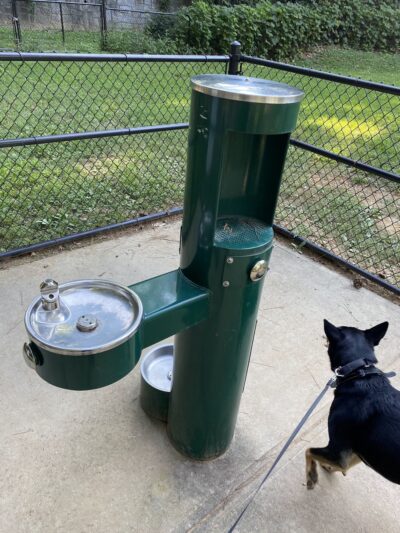 Rockbridge Dog Park - Stone Mountain, GA