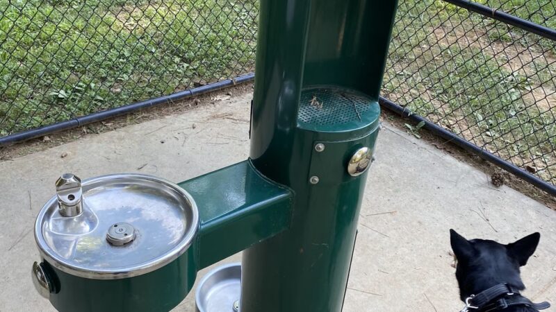 Rockbridge Dog Park - Stone Mountain, GA