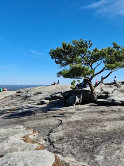 Stone Mountain Park - Stone Mountain, GA