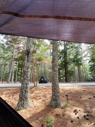 Studdard Picnic Area - Stone Mountain, GA