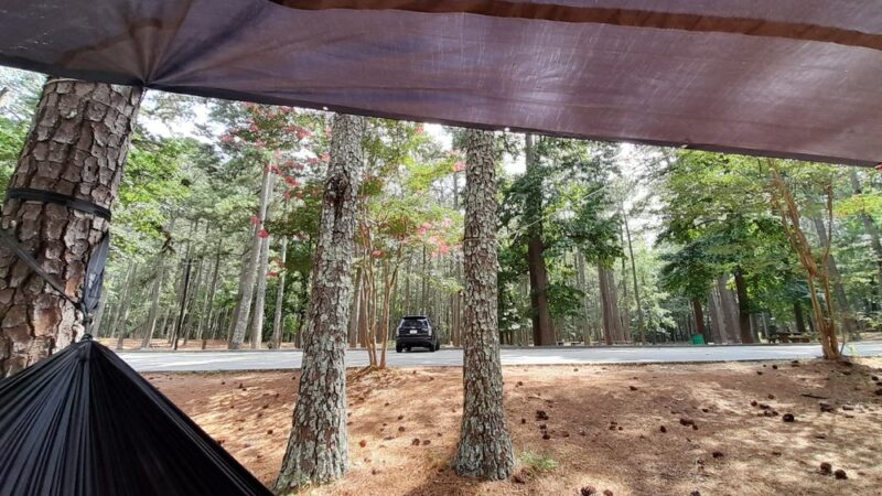 Studdard Picnic Area - Stone Mountain, GA