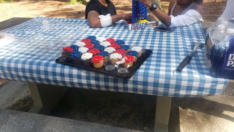 Studdard Picnic Area - Stone Mountain, GA