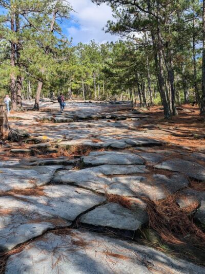 Walking Trails Parking - Stone Mountain, GA