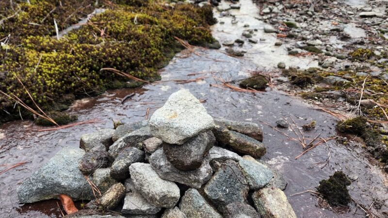 Walking Trails Parking - Stone Mountain, GA