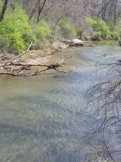 Yellow River Park - Stone Mountain, GA