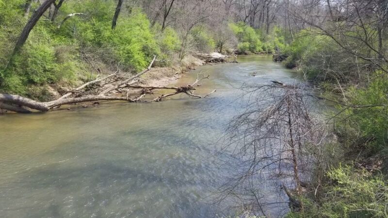 Yellow River Park - Stone Mountain, GA