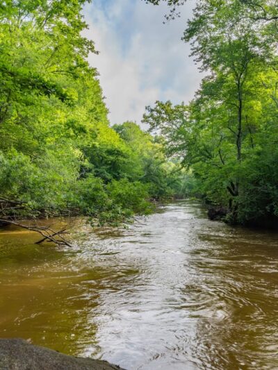 Yellow River Park - Stone Mountain, GA