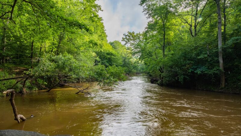 Yellow River Park - Stone Mountain, GA