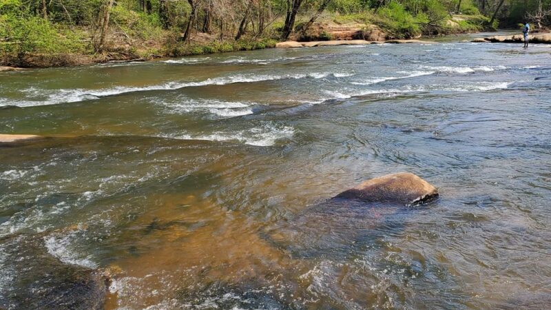 Yellow River Park - Stone Mountain, GA