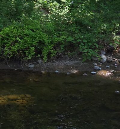 Charles Eccher Park - Stony Point, NY