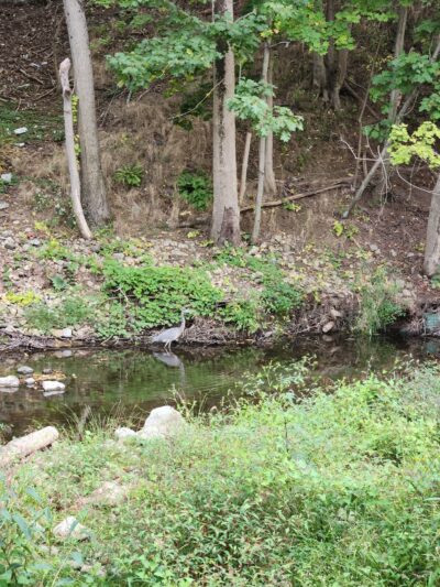 Charles Eccher Park - Stony Point, NY