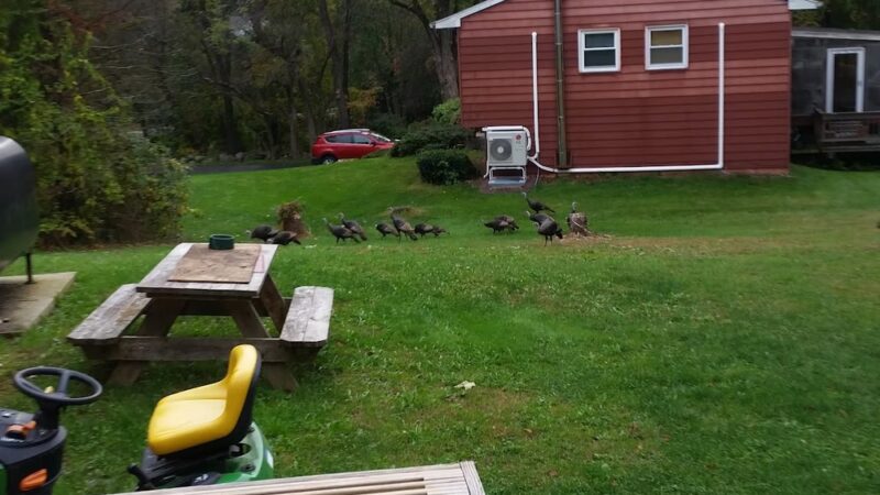 Lee Town Recreation Park - Stormville, NY