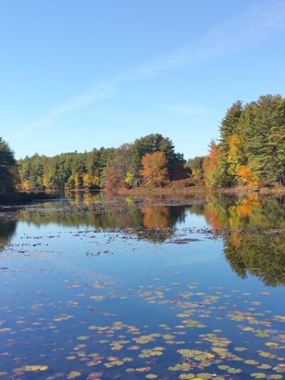 Marlborough-Sudbury State Forest - Stow, MA