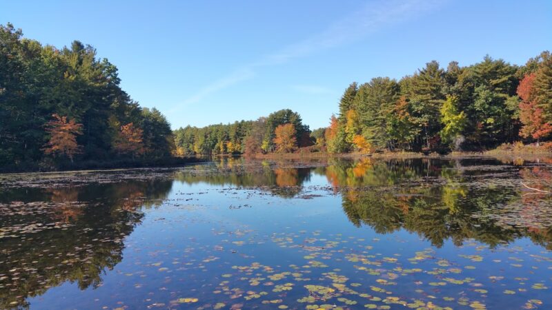 Marlborough-Sudbury State Forest - Stow, MA