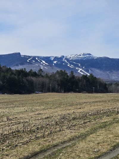 Thompson Park - Stowe, VT
