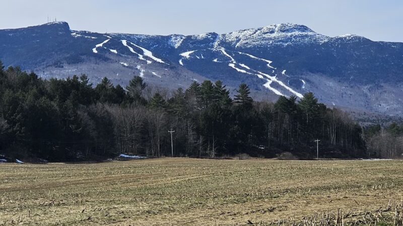 Thompson Park - Stowe, VT